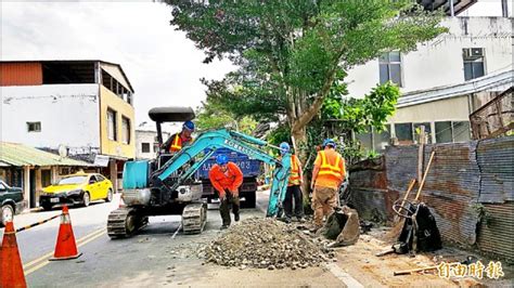 小葉欖仁危害|小葉欖仁樹破壞路面及民宅 關山鎮動工移植